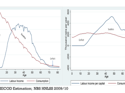 Demographic Dividend in Nigeria: Evidence from National Transfer Accounts 2010, 2018(in view)